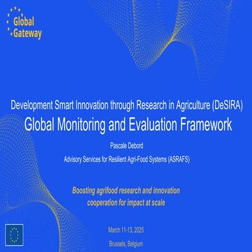 The DeSIRA Global Monitoring and Evaluation Framework and the results of 2024.