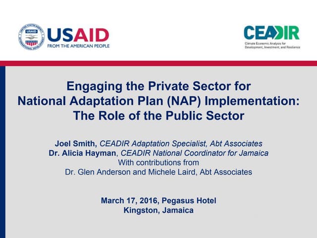 Engaging the Private Sector for National Adaptation Plan (NAP) Implementation: The Role of the Public Sector