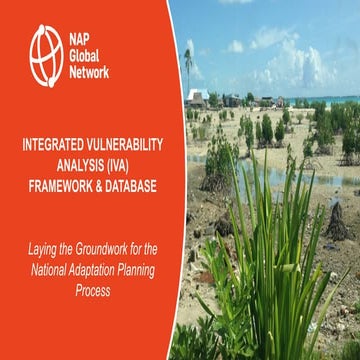 Integrated Vulnerability Analysis (IVA) Framework & Database: Laying the Grou...
