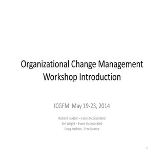 Day4 sp3 icgfm-workshop_organizatio...