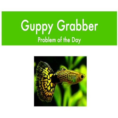 Guppy Grabber POD