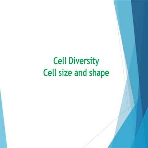 Diversity of cell shape and size | PPTX