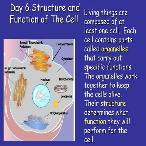 Day 5 cells, body systems