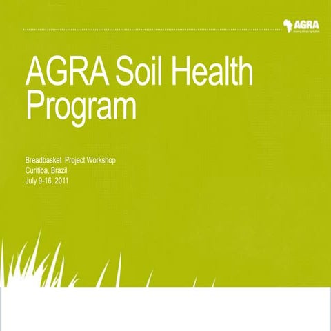 Day 5 conservation agriculture  project breadbasket field workshop in brazil