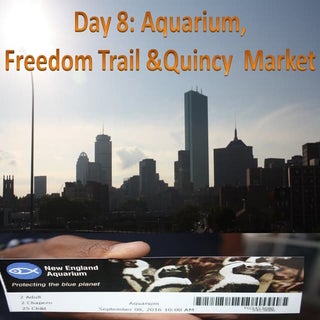 Day 8    Aquarium; Freedom Trail an...