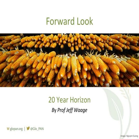 Forward Look on Agriculture and Nutrition in Ghana by Jeff Waage, LIDC Director