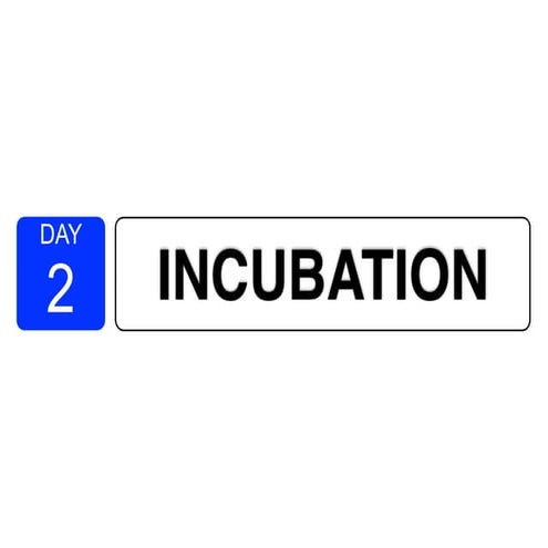 DAY TWO Creative Outlets CONFRATUTE 2014