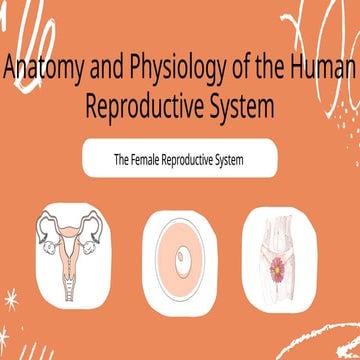 Anatomy visual data 3