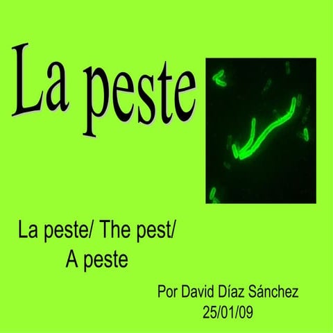 Comprehensive Overview of Bubonic Plague: Causes, Symptoms, Diagnosis ...
