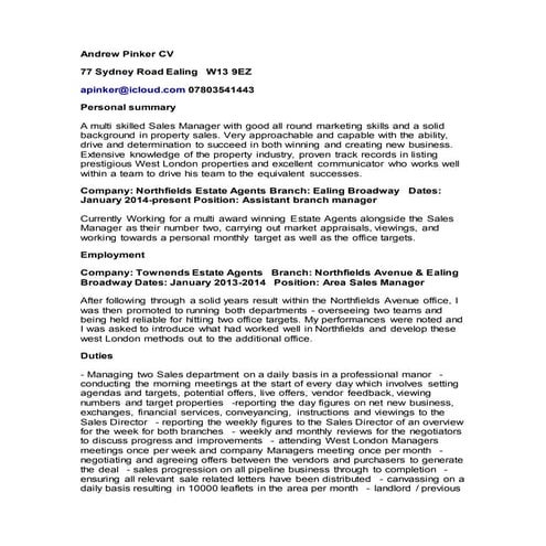 Andrew Pinker CV | DOCX