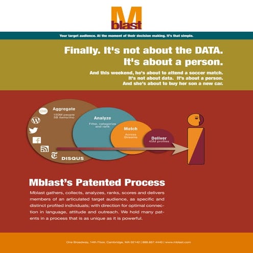 Advertising Database: What We Do | PDF