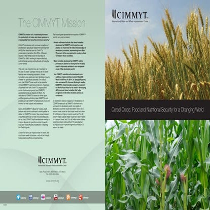 CIMMYT Cereals Brochure