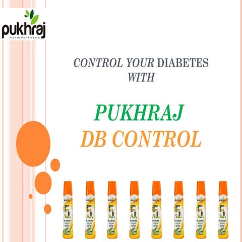 Pukhraj DB Control presentation- by Dipankar Dey