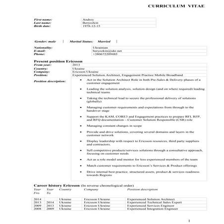 CV_ Andrey Beryozkin