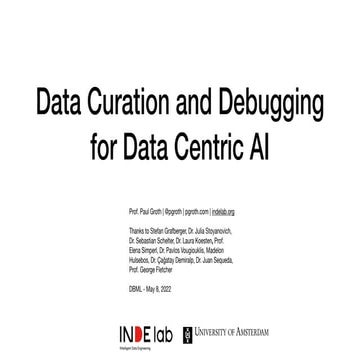 Data Curation and Debugging for Data Centric AI