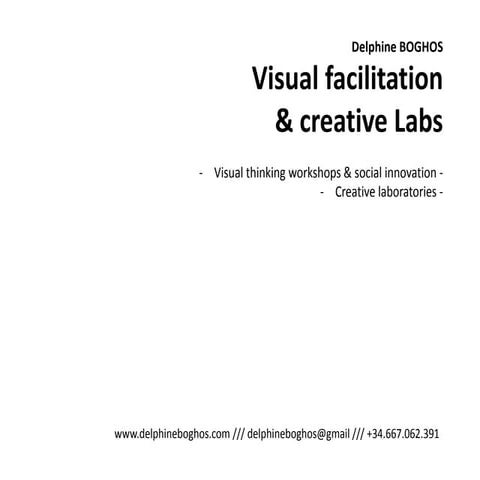 Delphine boghos: visual facilitation and creative labs