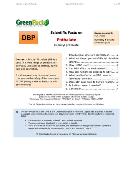 Di-N-Butyl Phthalate Free Paint photo