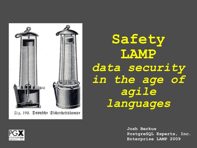 Safety LAMP: data security & agile languages