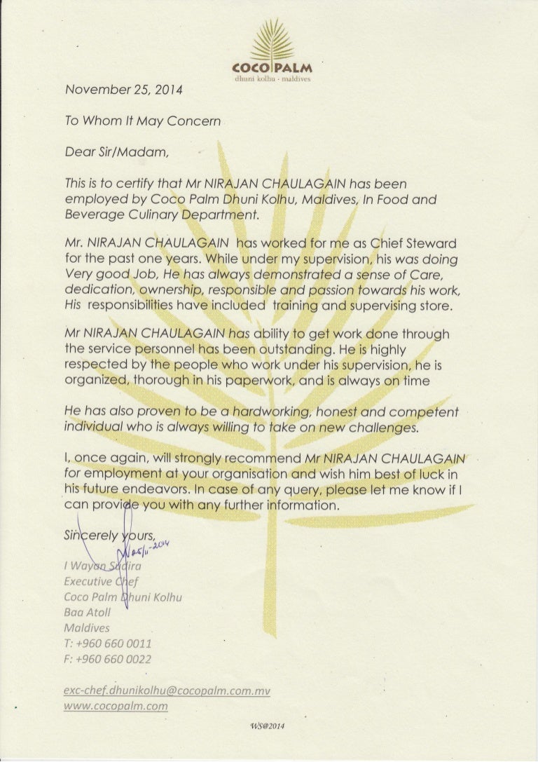 reference letter executive chef recommendation letter on linkedin