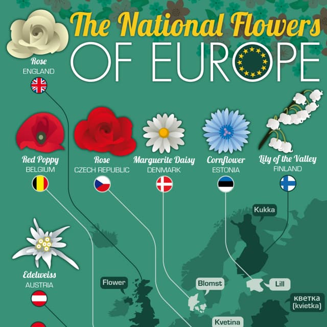 National Flowers of European Countries | PDF