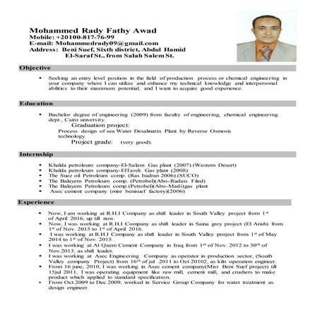 Abdesalam's CV | DOCX