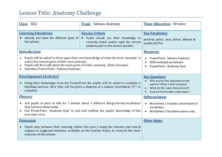 Lesson Plan 1: Introduction