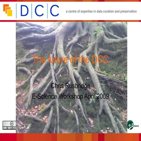 The future of the DCC