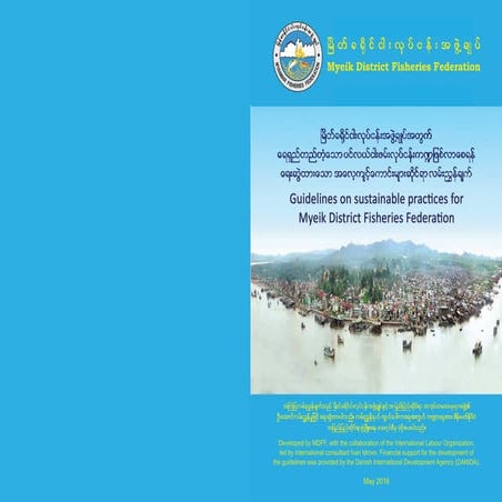 MDFF_Guidelines_Print version_FINAL_Low Res