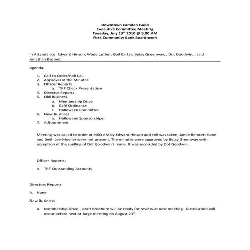 Dcg meeting minutes executive board 13 jul10