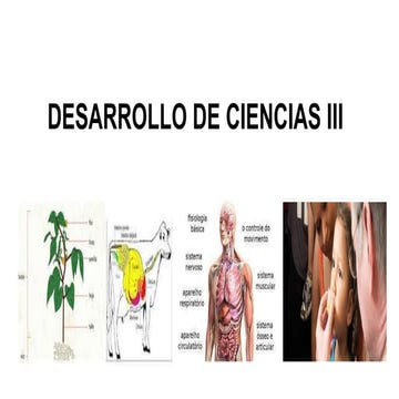 desarrollo de ciencia