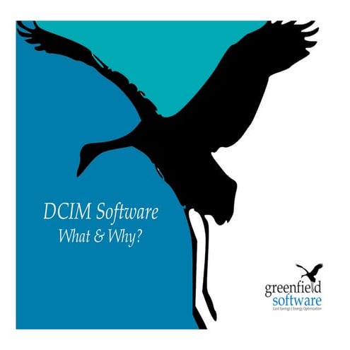DCIM Software: What & Why?