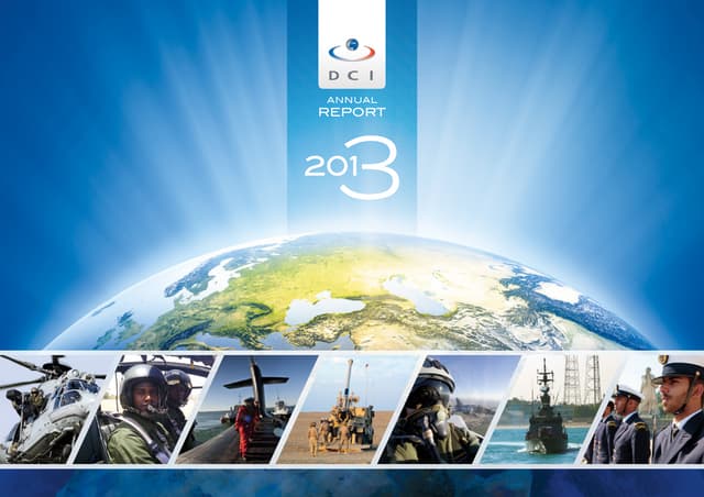 DCI's annual report - 2013