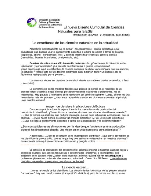 Dc resumen y_reflexiones_2010