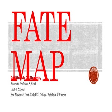 FATE Map