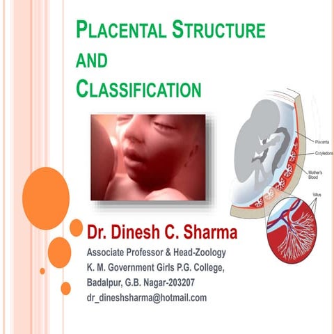 Placenta structure and Classification