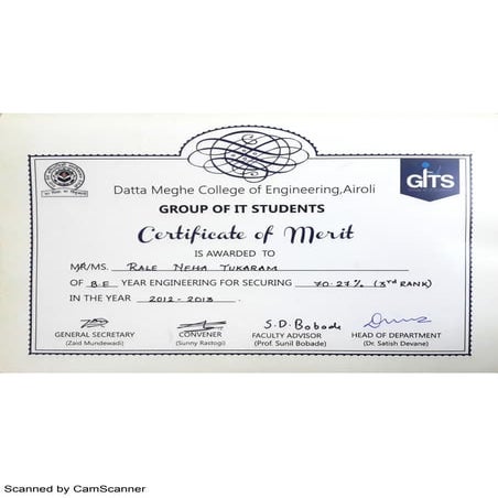 Certificate of Merit | PDF