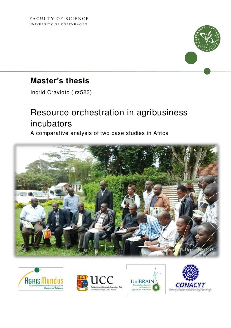 Thesis website reference picture