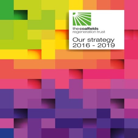 CRT Strategy 2016 to 2019 | PDF