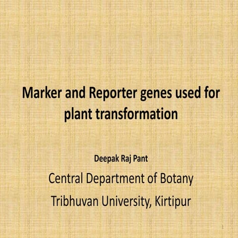 Markers and reporter genes