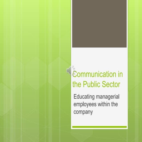 Communication in the Public Sector | PPTX
