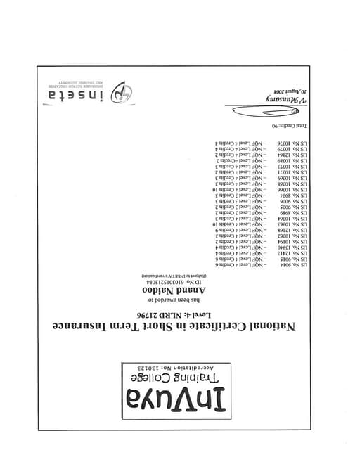 TEAM LEADER 1 | PDF