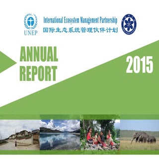 UNEP-IEMP Annual Report 2015