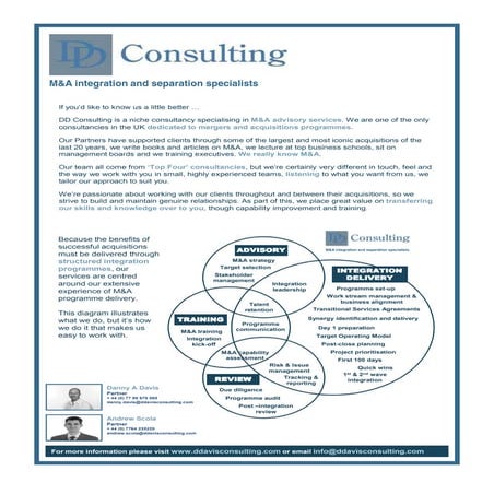 DD Consulting One Pager