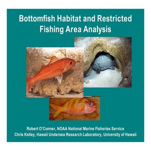 Bottomfish Habitat and Restricted Fishing Area Analysis