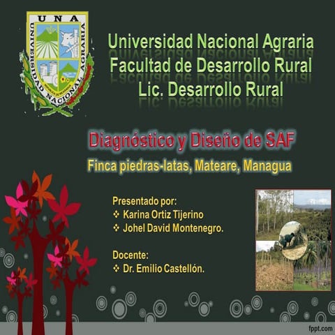 Sistema Agroforestal