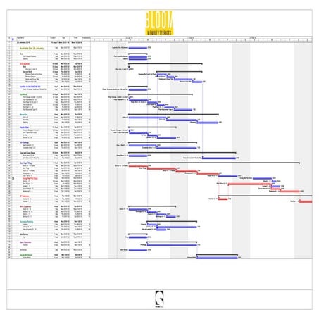 MS Project - 24 January 2016