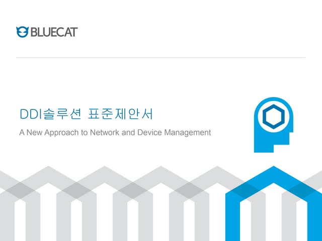 블루캣Ddi솔루션표준제안서