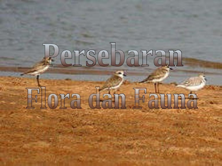Persebaran Flora Dan Fauna Persebaran Flora Dan Fauna