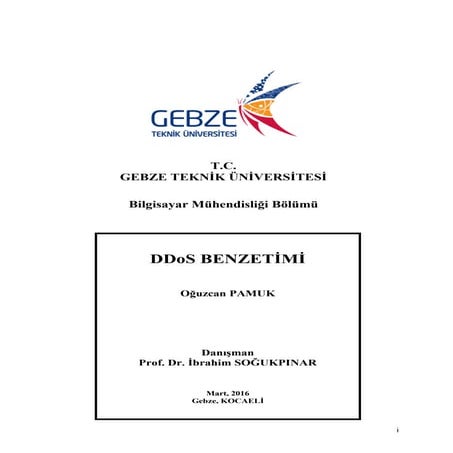 DDoS Benzetimi Projesi Ara Raporu