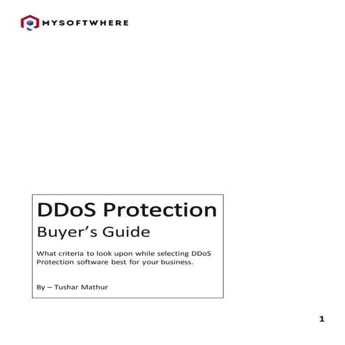 DDoS Report.docx